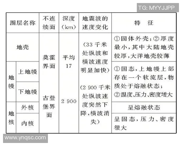 深圳排球队在世界杯预选赛中的速度表现分析与点评